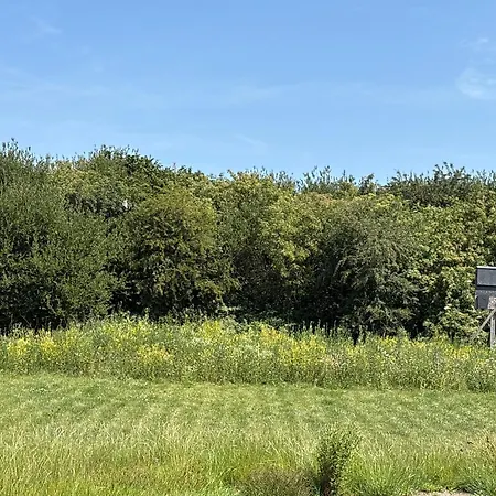 Semesterbostad Casita Wijchen Tiny House *