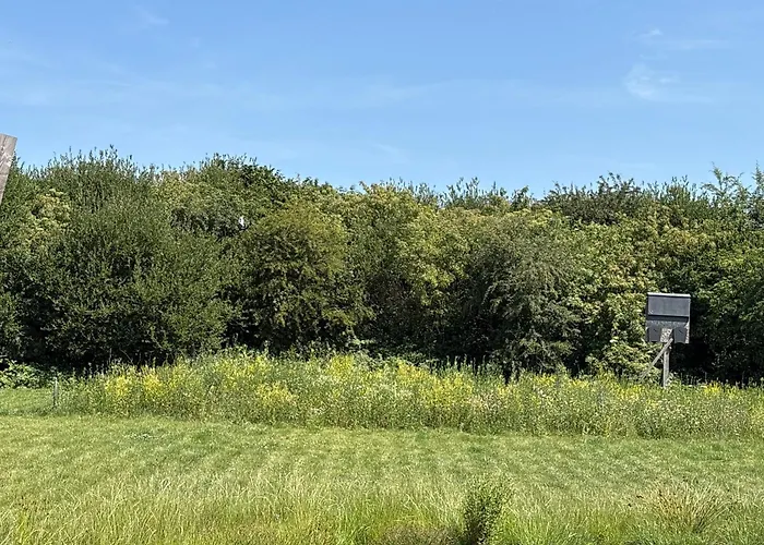 Vakantiehuis Casita Complete Tiny House *